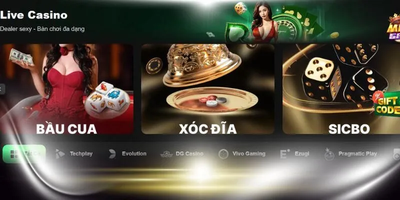 Giấy phép hoạt động và chứng nhận uy tín